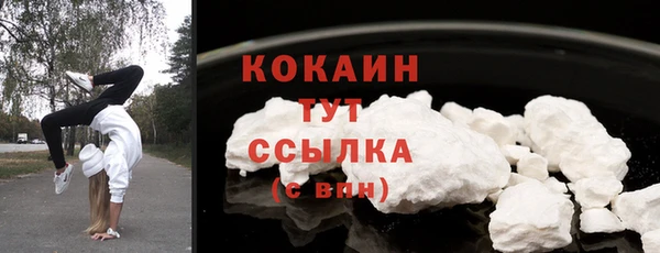 спайс Корсаков