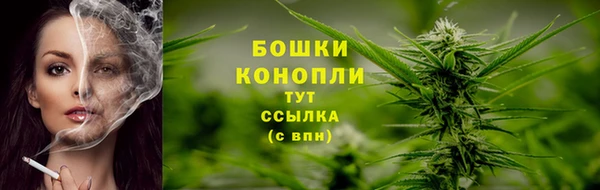 спайс Корсаков