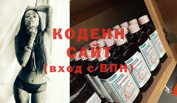 спайс Корсаков