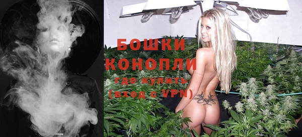 спайс Корсаков