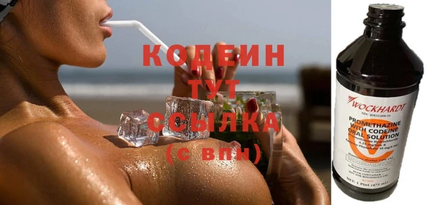 спайс Корсаков
