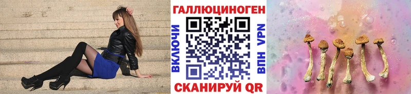 Псилоцибиновые грибы мицелий  hydra как зайти  Курчатов 