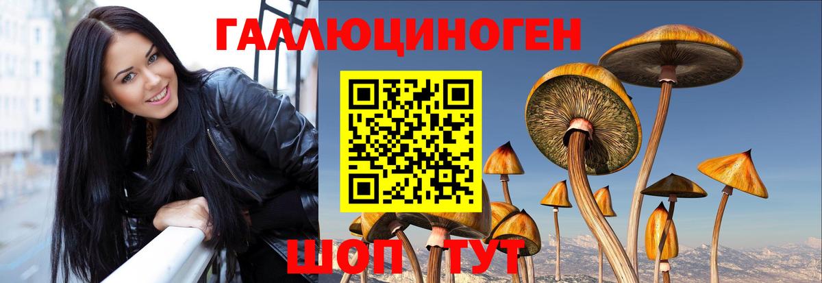 Галлюциногенные грибы GOLDEN TEACHER  Вход с VPN  Курчатов 